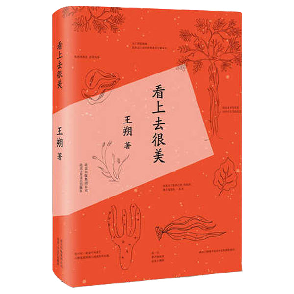 加拿大书店-多伦多买书-王朔-看上去很美