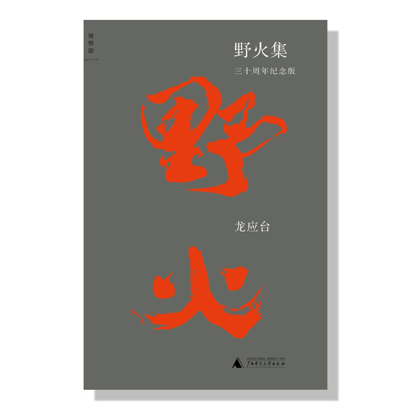 加拿大-多伦多-书店-龙应台-野火集