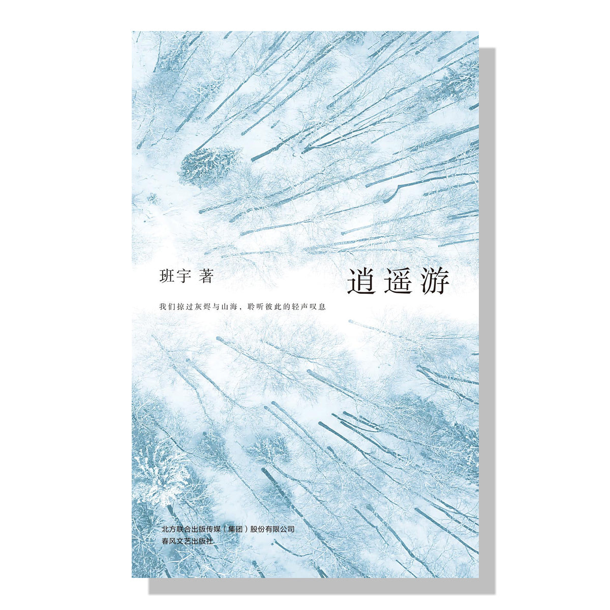 加拿大买书-多伦多-书店-班宇-逍遥游