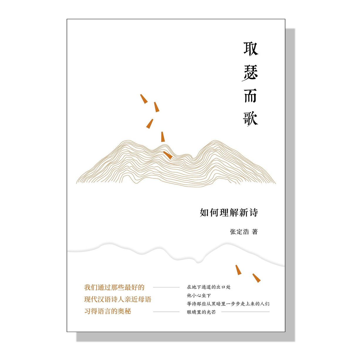 温哥华书店-买书-旦夕书店-张定浩-取瑟而歌如何理解新诗