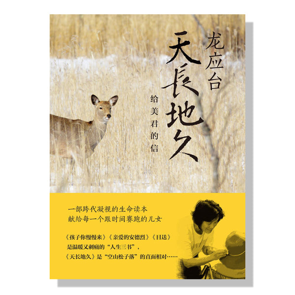 密西沙加-旺市-书店-龙应台天长地久-给美君的信