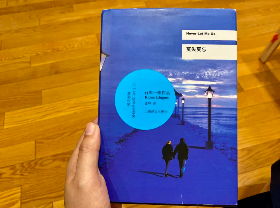 【文学评论】熟悉的痛感 - 《莫失莫忘》读后观感